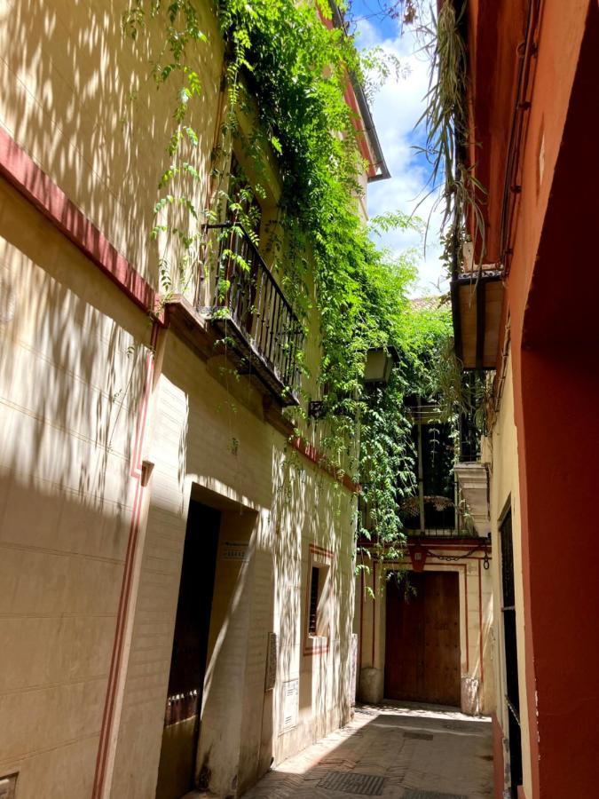 Acogedor Apt 8Pax 4Bdr 2Bth - Cozyhomesevilla1 Exterior foto